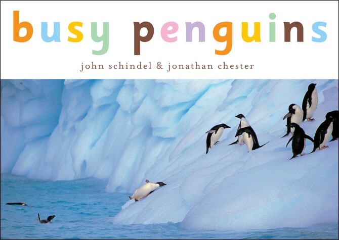 Book cover for Busy Penguins