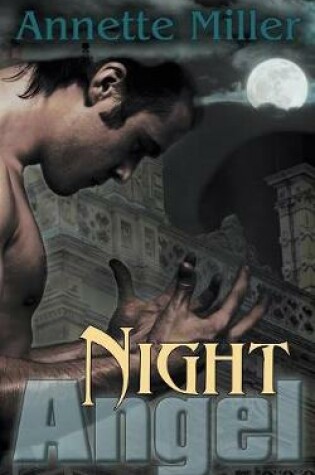 Cover of Night Angel