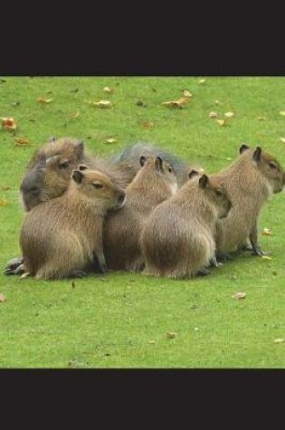 Cover of The Capybara Family Photo Journal