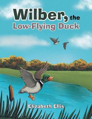 Book cover for Wilber, the Low-Flying Duck