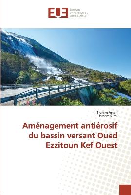 Cover of Aménagement antiérosif du bassin versant oued ezzitoun kef ouest