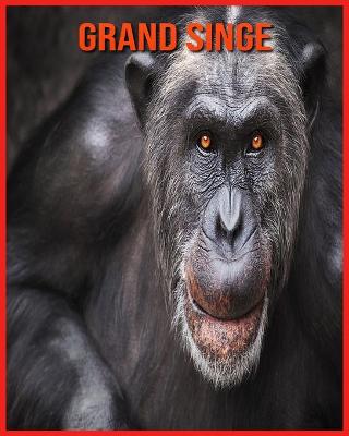 Book cover for Grand Singe