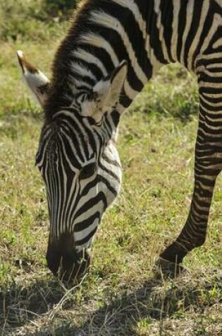 Cover of Zebra African Animal Journal