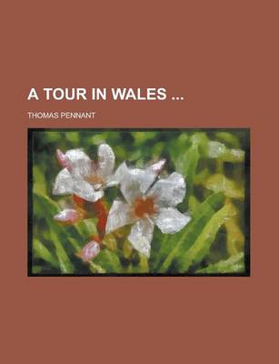 Book cover for A Tour in Wales