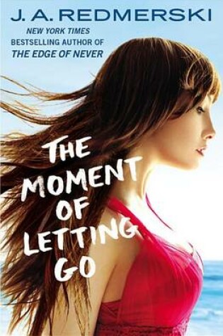 Cover of The Moment of Letting Go
