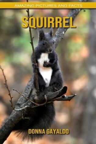 Cover of Squirrel