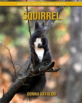 Book cover for Squirrel