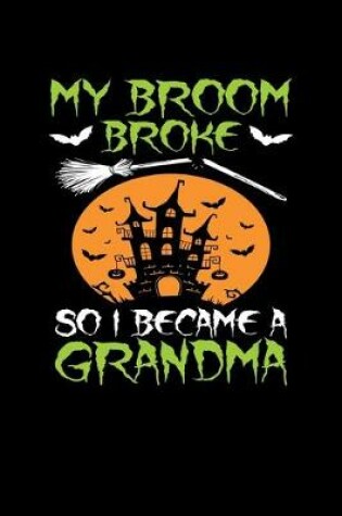 Cover of My Broom Broke So I Became a Grandma