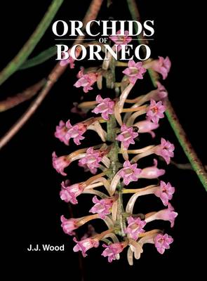 Book cover for Orchids of Borneo Volume 4