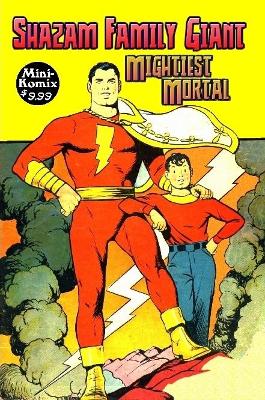 Book cover for Shazam Family Giant