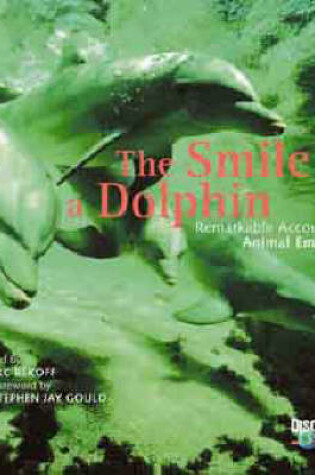 Cover of The Smile of a Dolphin