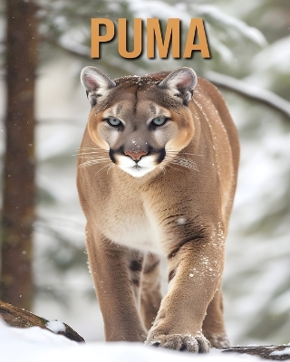 Book cover for Puma