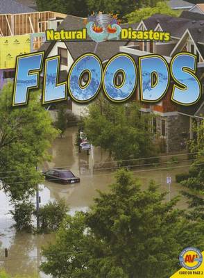 Book cover for Floods