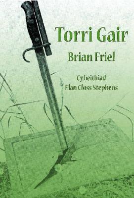 Book cover for Torri Gair