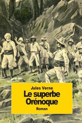 Book cover for Le superbe Or�noque