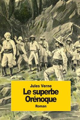 Book cover for Le superbe Orénoque