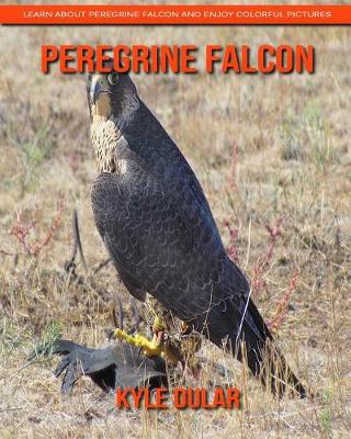 Book cover for Peregrine Falcon! Learn about Peregrine Falcon and Enjoy Colorful Pictures