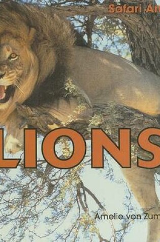 Cover of Lions