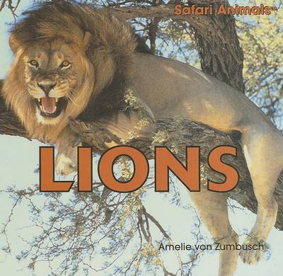 Book cover for Lions