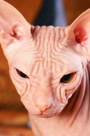 Cover of Sphinx Cat Looks Like an Alien Journal