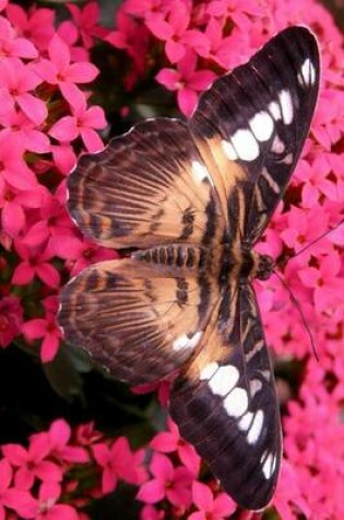 Cover of Brown Clipper Butterfly on Pink Flowers, for the Love of Nature