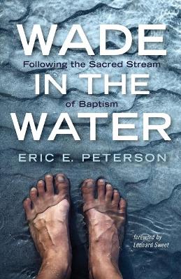 Book cover for Wade in the Water