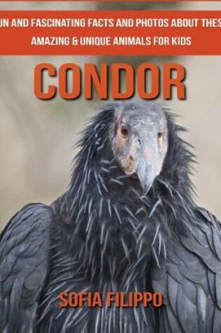 Cover of Condor