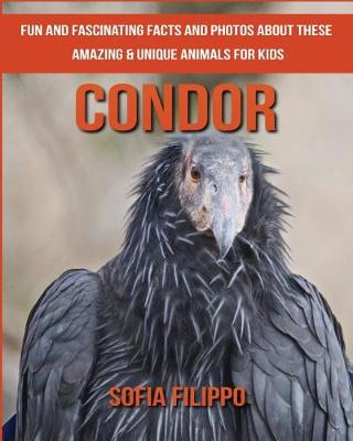 Book cover for Condor