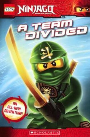 Cover of Team Divided