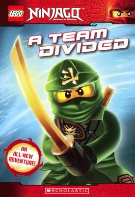 Book cover for Team Divided