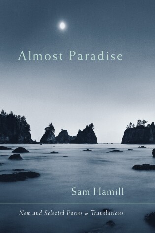 Cover of Almost Paradise
