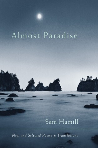 Book cover for Almost Paradise