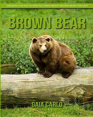 Book cover for Brown Bear