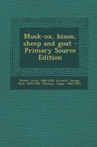 Cover of Musk-Ox, Bison, Sheep and Goat - Primary Source Edition