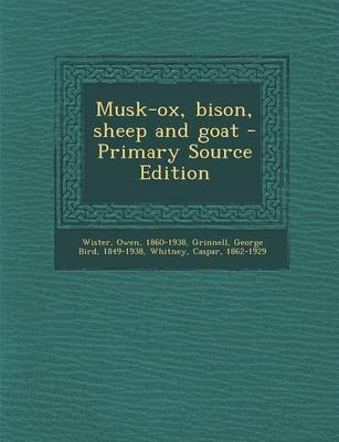 Cover of Musk-Ox, Bison, Sheep and Goat - Primary Source Edition