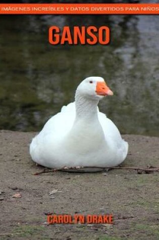Cover of Ganso