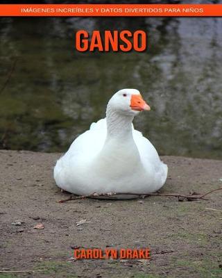 Book cover for Ganso
