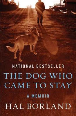 Book cover for The Dog Who Came to Stay