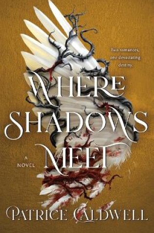 Cover of Where Shadows Meet