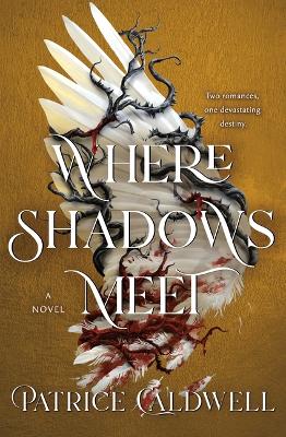 Book cover for Where Shadows Meet