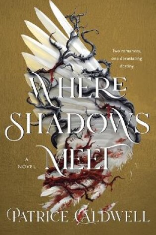 Cover of Where Shadows Meet