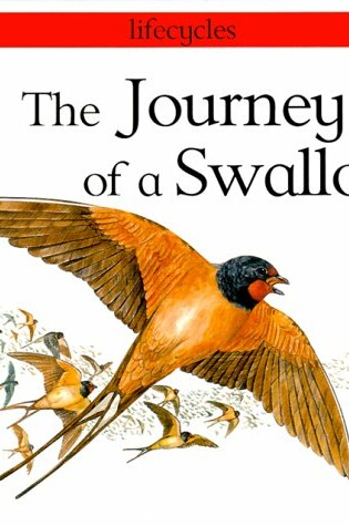 Cover of The Journey of a Swallow