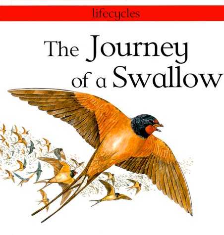 Book cover for The Journey of a Swallow