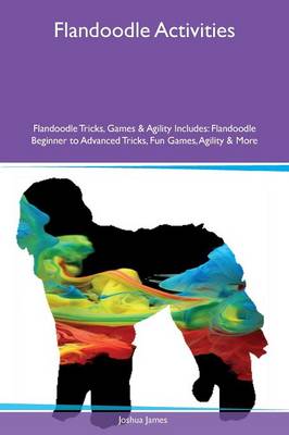 Book cover for Flandoodle Activities Flandoodle Tricks, Games & Agility Includes