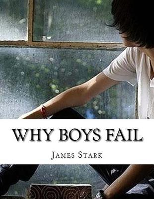 Book cover for Why Boys Fail