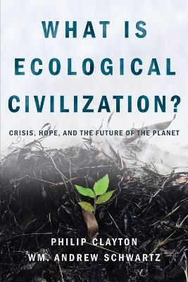 Book cover for What is Ecological Civilization