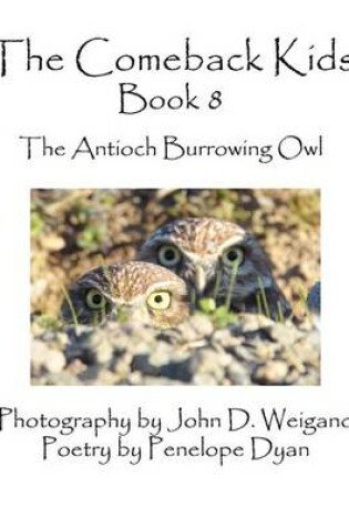 Cover of The Comeback Kids, Book 8, The Antioch Burrowing Owls