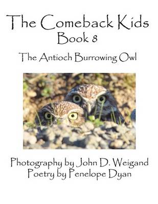 Book cover for The Comeback Kids, Book 8, The Antioch Burrowing Owls