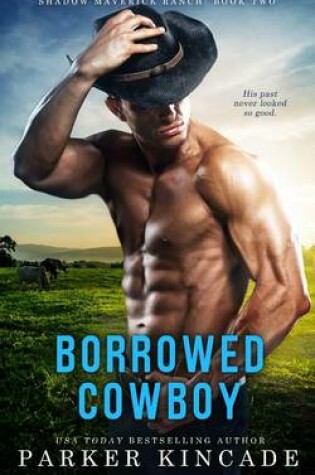 Cover of Borrowed Cowboy