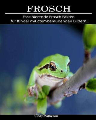 Book cover for Frosch